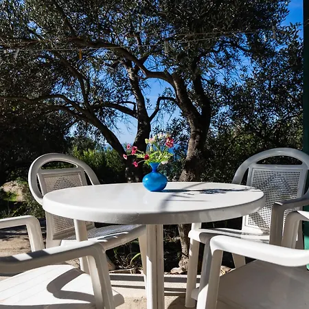 Robinzonska Kuca Mir Podvrske Holiday home Murter